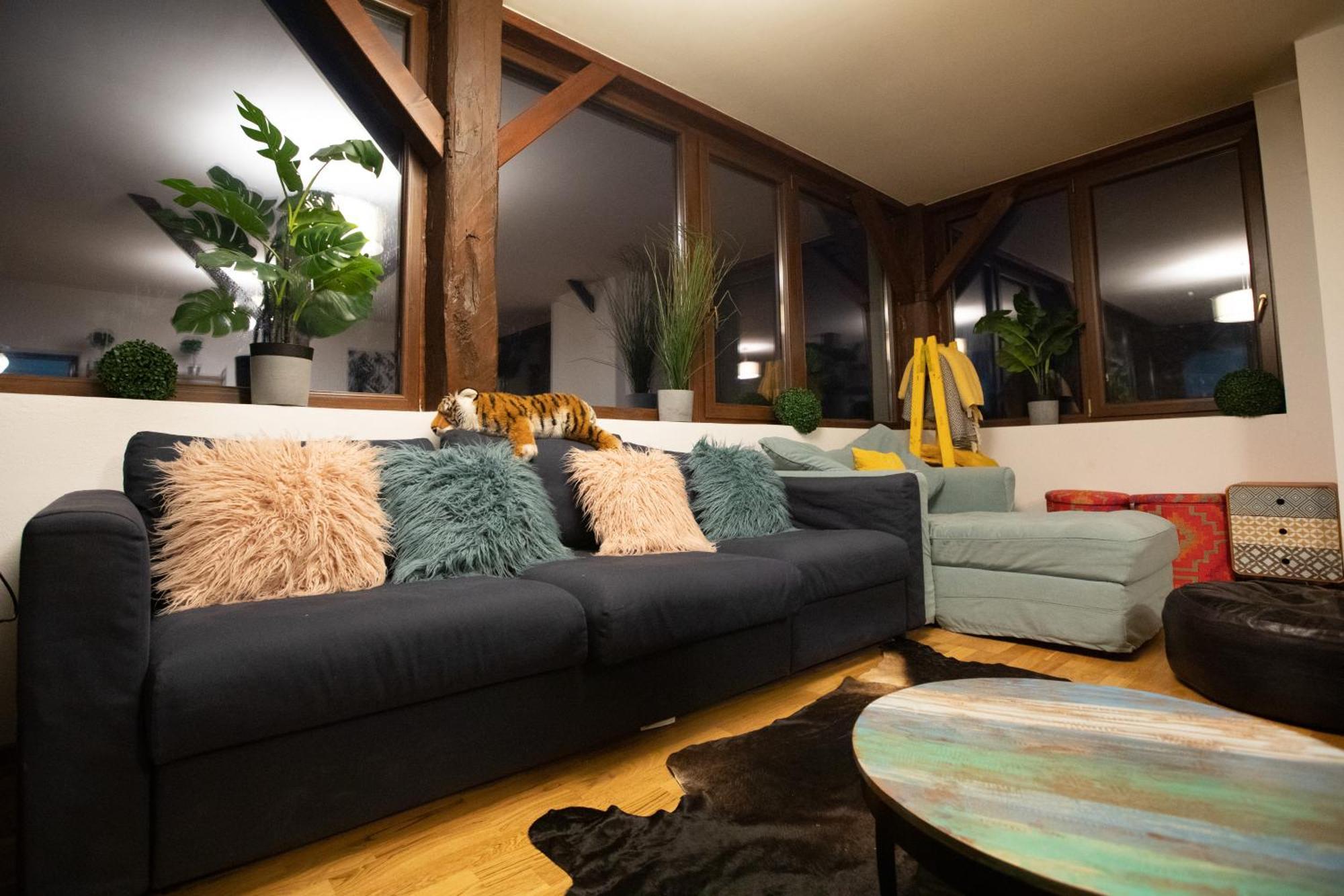Maison De L'Amour Brebu Nou Экстерьер фото